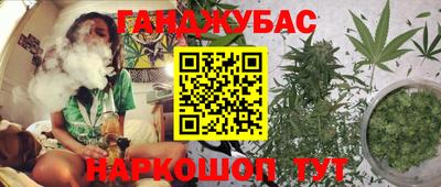 стаф Моздок