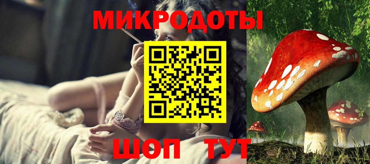 Псилоцибиновые грибы Cubensis Будённовск